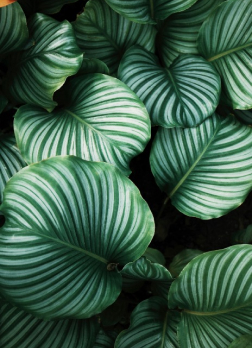 gallery-01 Gallery 01