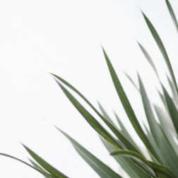 gallery-05 Gallery 05